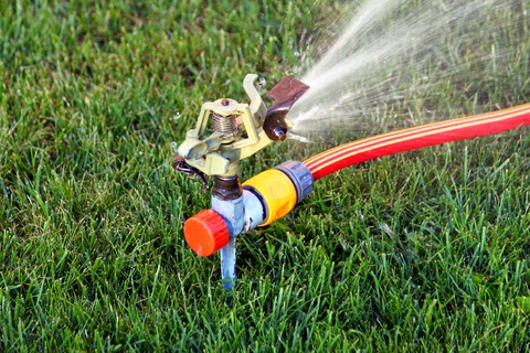 Watering the lawn with sprinkler